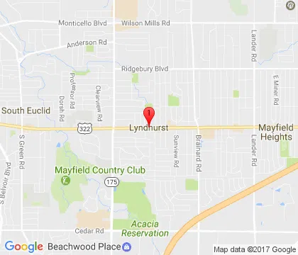 logo-image - lyndhurst-oh